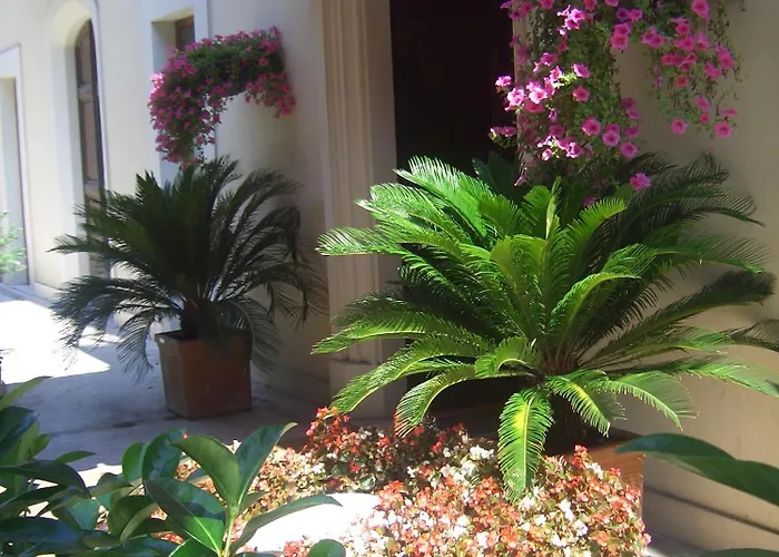 Claila Francavilla Al Mare